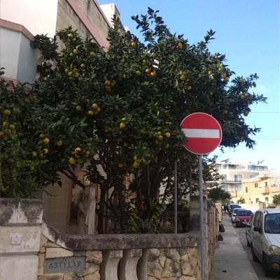 image-200