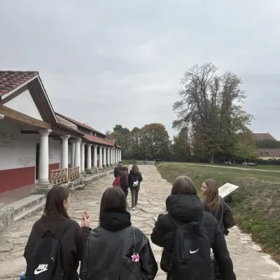 image-11743